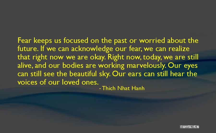 Beautiful Bodies Quotes By Thich Nhat Hanh