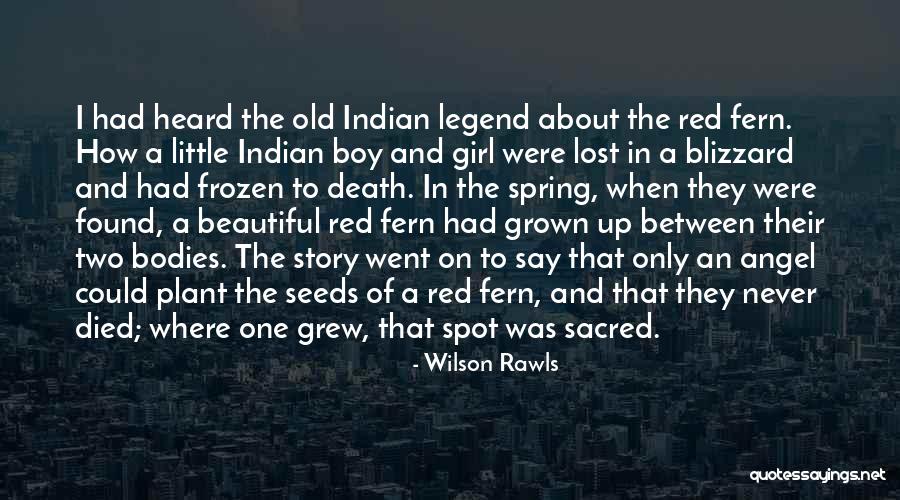 Beautiful Bodies Quotes By Wilson Rawls Beautiful Bodies Quotes By Wilson Rawls