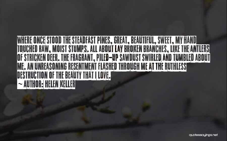 Beautiful Broken Love Quotes By Helen Keller