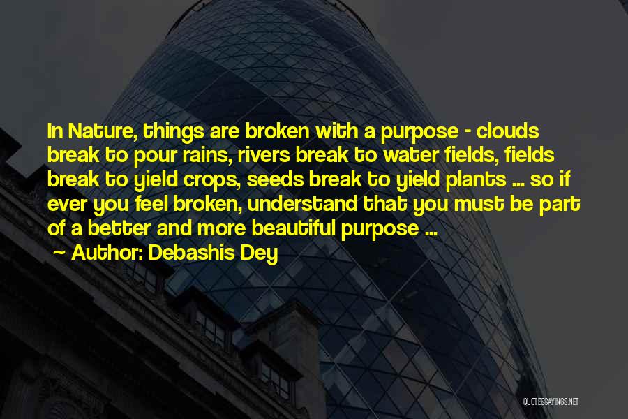 Beautiful Broken Quotes By Debashis Dey