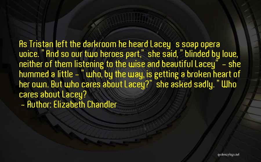 Beautiful Broken Quotes By Elizabeth Chandler