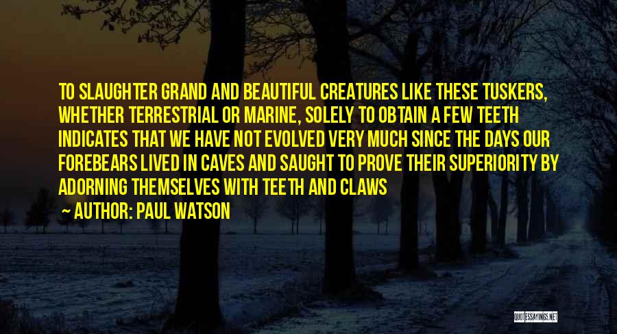 Beautiful Caves Quotes By Paul Watson