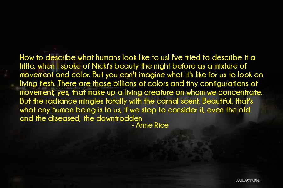 Beautiful Colors Quotes By Anne Rice Beautiful Colors Quotes By Anne Rice