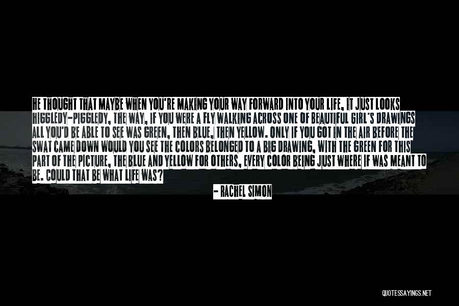 Beautiful Colors Quotes By Rachel Simon Beautiful Colors Quotes By Rachel Simon
