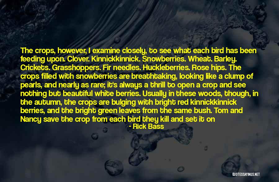 Beautiful Colors Quotes By Rick Bass Beautiful Colors Quotes By Rick Bass
