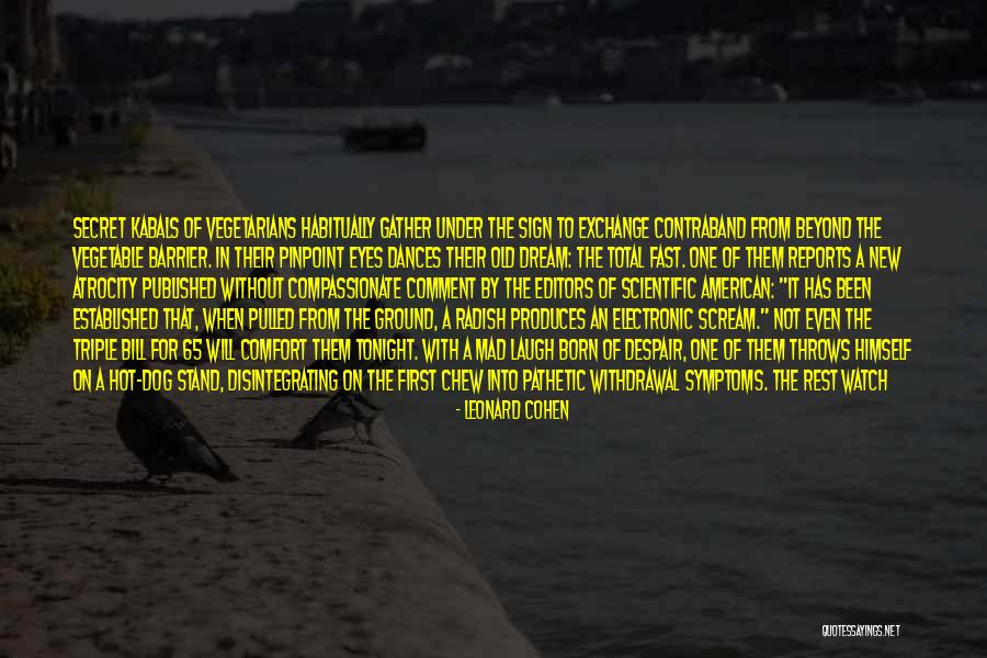 Beautiful Comment Quotes By Leonard Cohen Beautiful Comment Quotes By Leonard Cohen