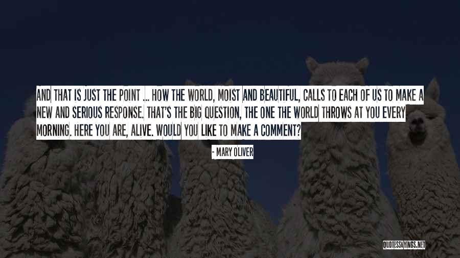 Beautiful Comment Quotes By Mary Oliver Beautiful Comment Quotes By Mary Oliver