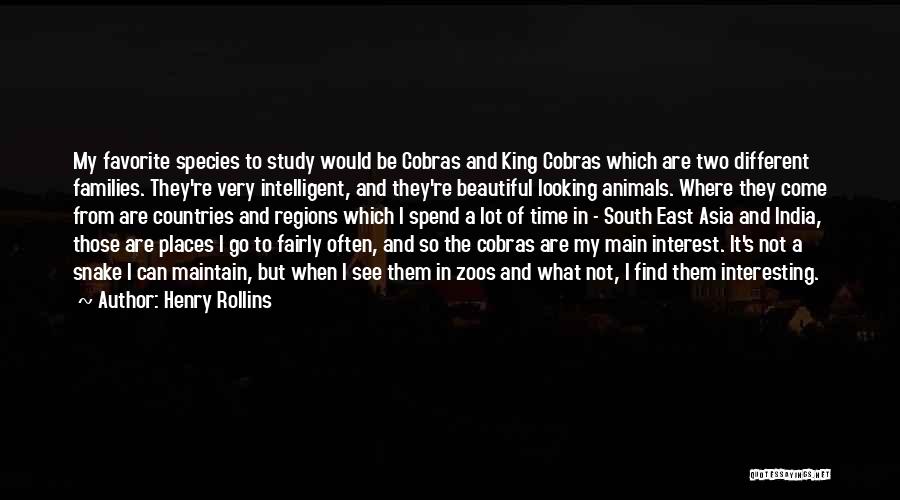 Beautiful Countries Quotes By Henry Rollins