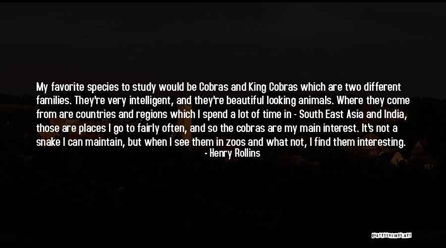 Beautiful Countries Quotes By Henry Rollins