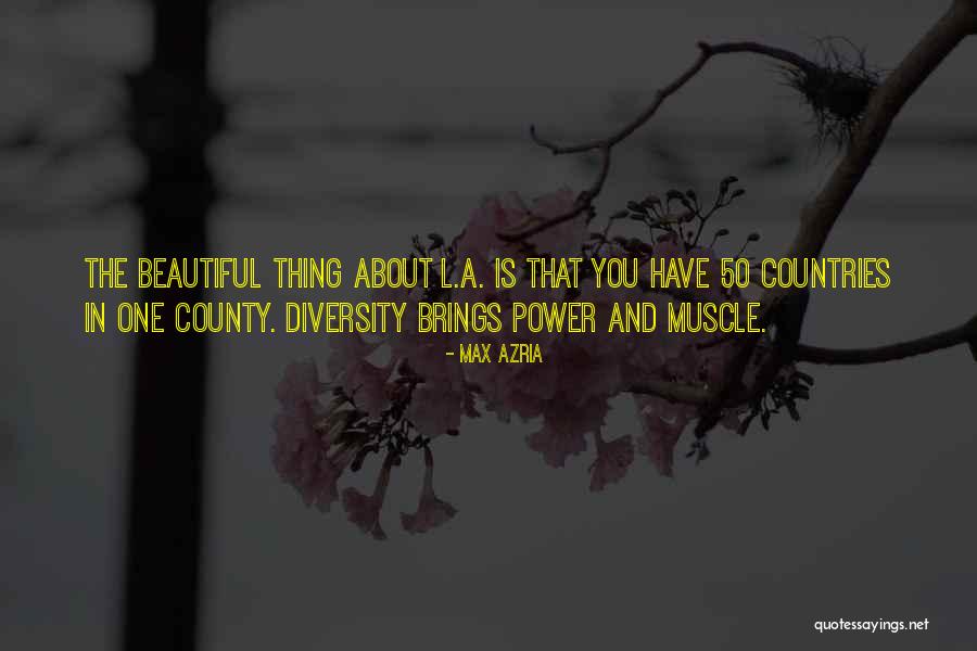 Beautiful Countries Quotes By Max Azria