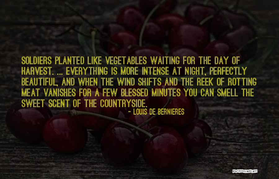 Beautiful Countryside Quotes By Louis De Bernieres Beautiful Countryside Quotes By Louis De Bernieres
