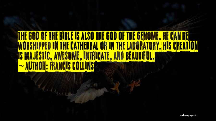 Beautiful Creation Of God Quotes By Francis Collins