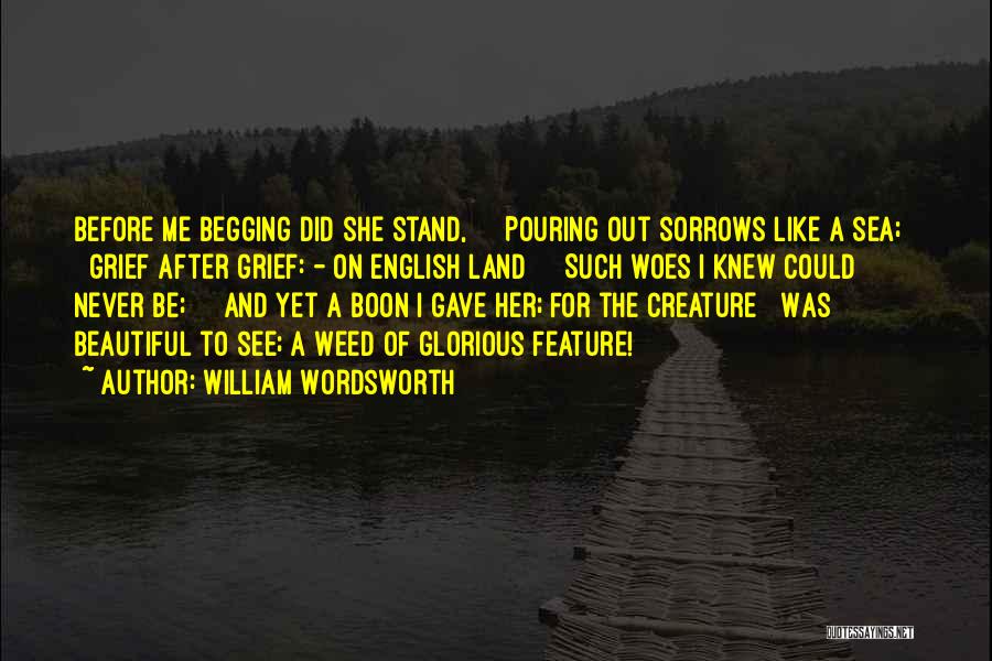 Beautiful Creature Quotes By William Wordsworth