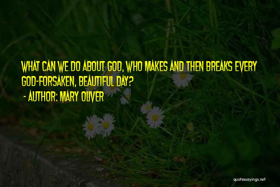 Beautiful Day God Quotes By Mary Oliver