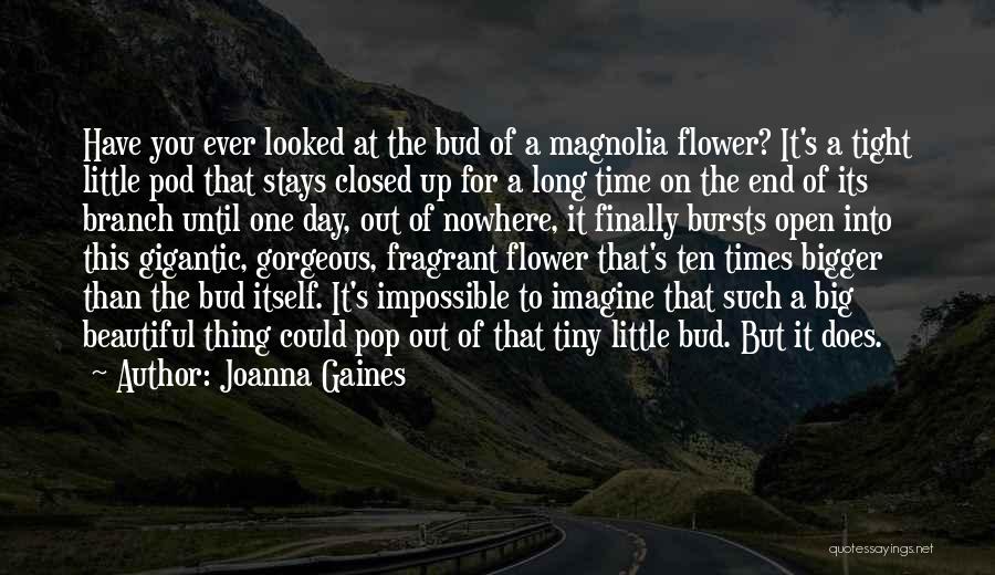 Beautiful Day To Day Quotes By Joanna Gaines