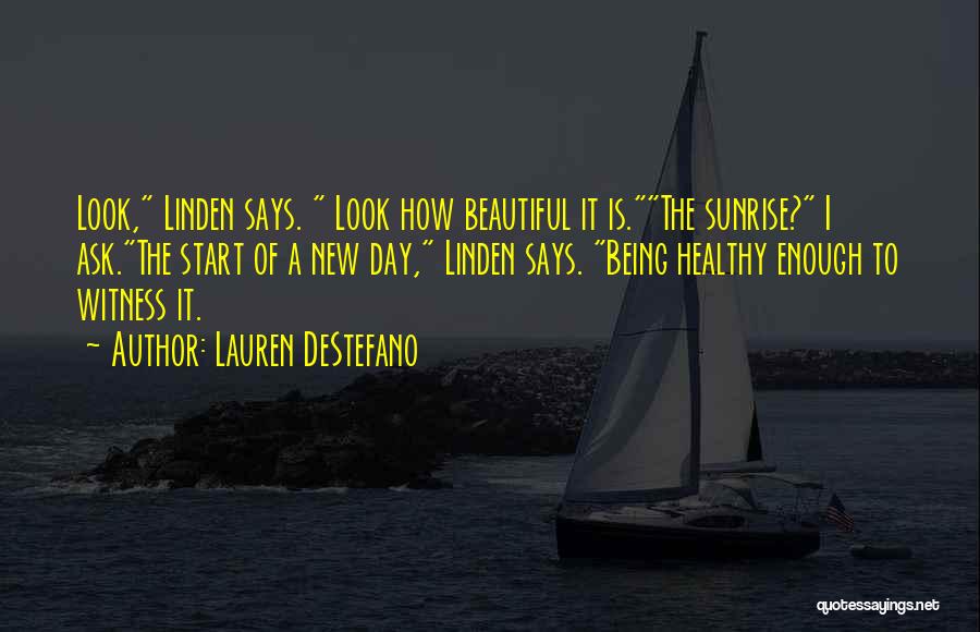 Beautiful Day To Day Quotes By Lauren DeStefano