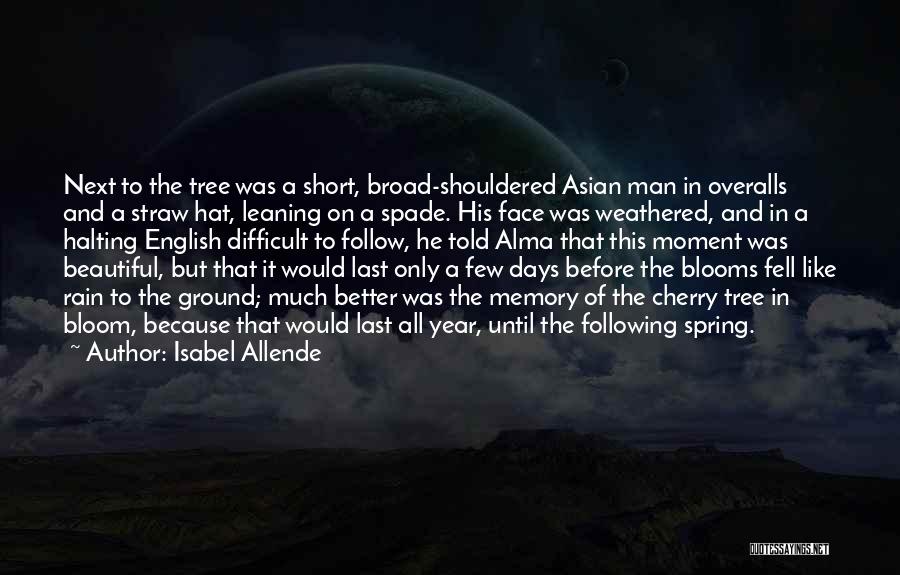 Beautiful Days Quotes By Isabel Allende