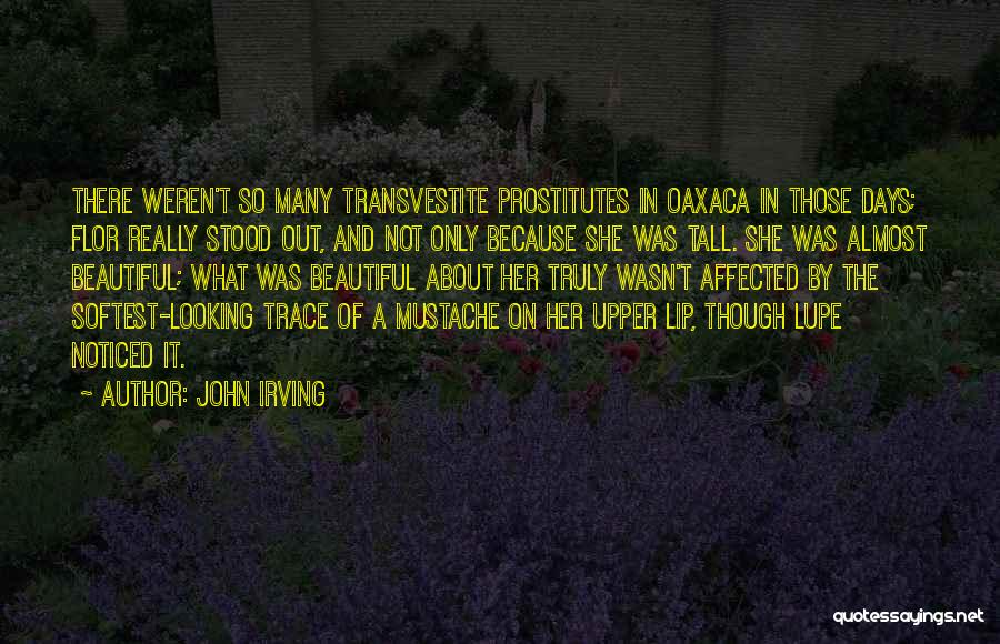 Beautiful Days Quotes By John Irving