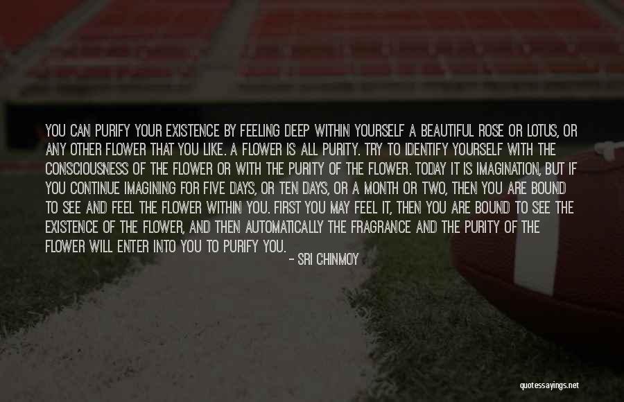 Beautiful Days Quotes By Sri Chinmoy Beautiful Days Quotes By Sri Chinmoy
