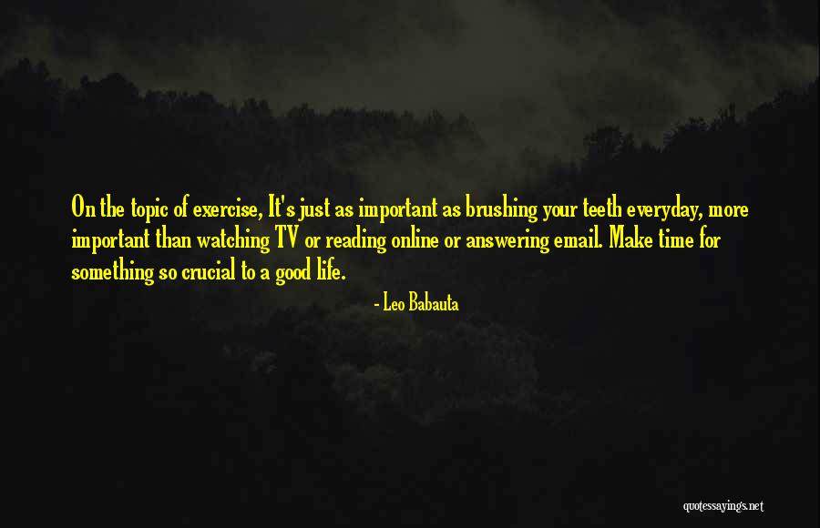 Beautiful Decaying Quotes By Leo Babauta Beautiful Decaying Quotes By Leo Babauta