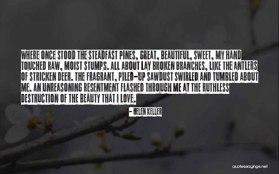 Beautiful Deer Quotes By Helen Keller Beautiful Deer Quotes By Helen Keller