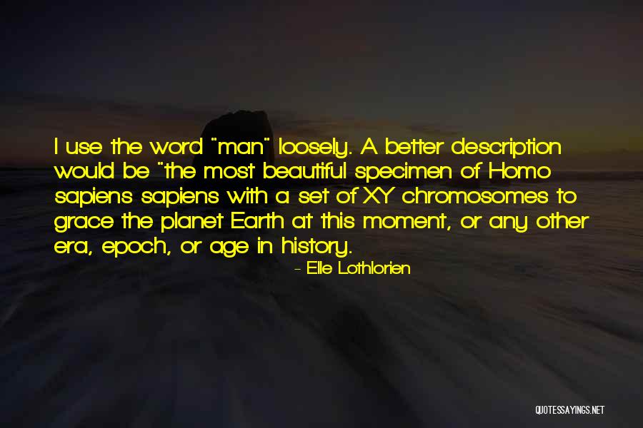 Beautiful Description Quotes By Elle Lothlorien Beautiful Description Quotes By Elle Lothlorien