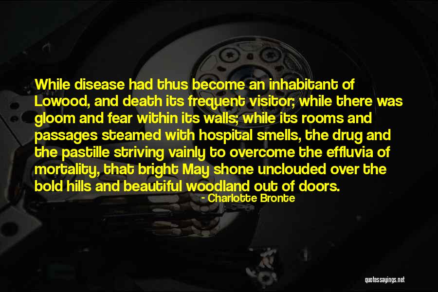 Beautiful Doors Quotes By Charlotte Bronte Beautiful Doors Quotes By Charlotte Bronte