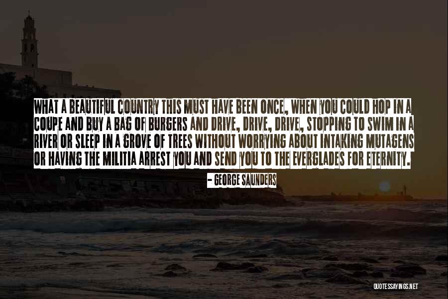 Beautiful Drive Quotes By George Saunders Beautiful Drive Quotes By George Saunders