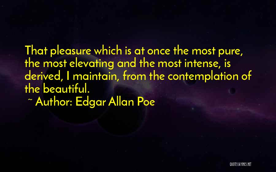 Beautiful Edgar Allan Poe Quotes By Edgar Allan Poe