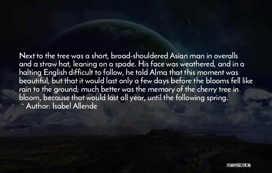 Beautiful English Quotes By Isabel Allende