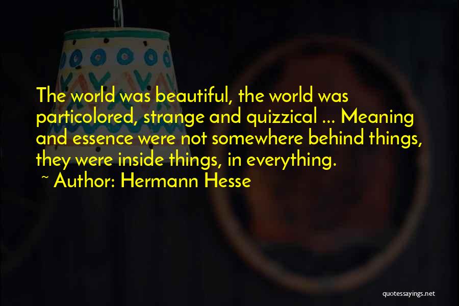 Beautiful Essence Quotes By Hermann Hesse