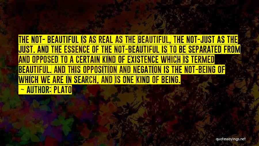 Beautiful Essence Quotes By Plato