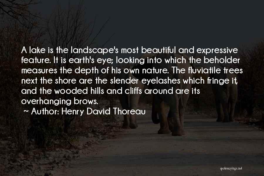 Beautiful Eyelashes Quotes By Henry David Thoreau