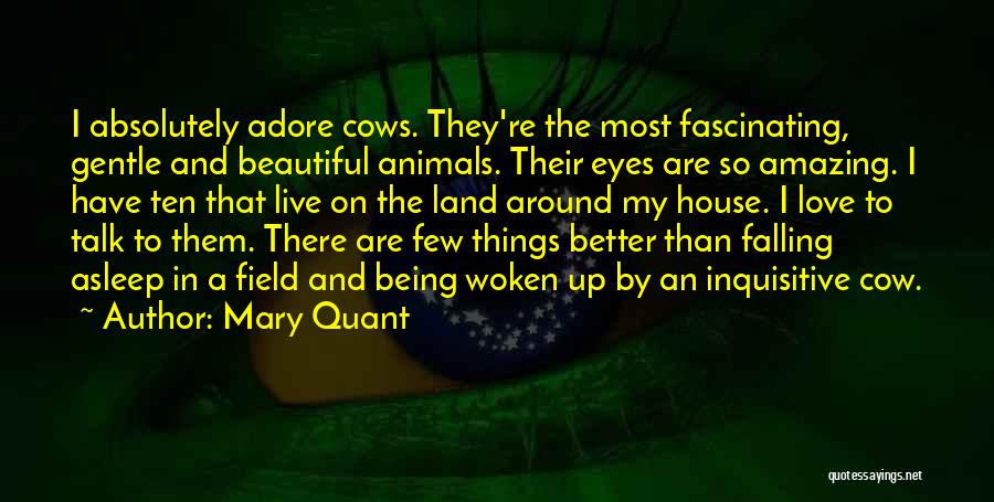 Beautiful Eyes Love Quotes By Mary Quant