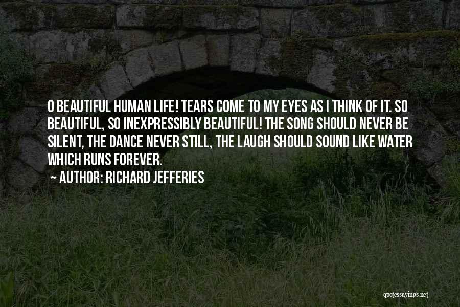 Beautiful Eyes Quotes By Richard Jefferies