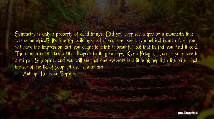 Beautiful Face And Heart Quotes By Louis De Bernieres