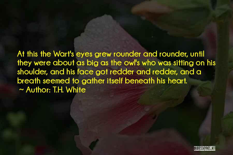 Beautiful Face And Heart Quotes By T.H. White
