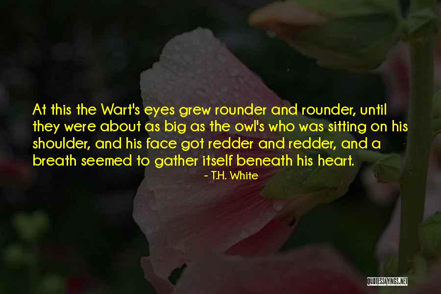 Beautiful Face And Heart Quotes By T.H. White