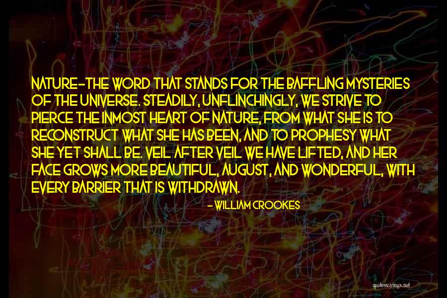 Beautiful Face And Heart Quotes By William Crookes Beautiful Face And Heart Quotes By William Crookes
