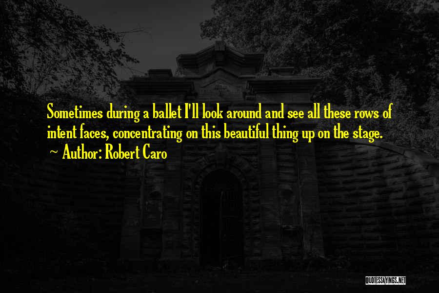 Beautiful Faces Quotes By Robert Caro