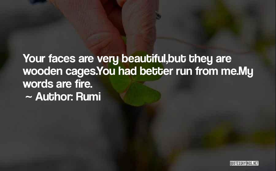 Beautiful Faces Quotes By Rumi