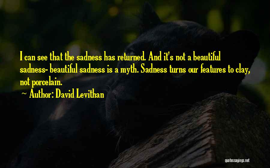 Beautiful Features Quotes By David Levithan