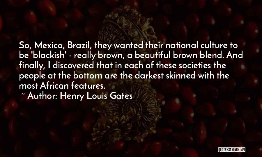 Beautiful Features Quotes By Henry Louis Gates