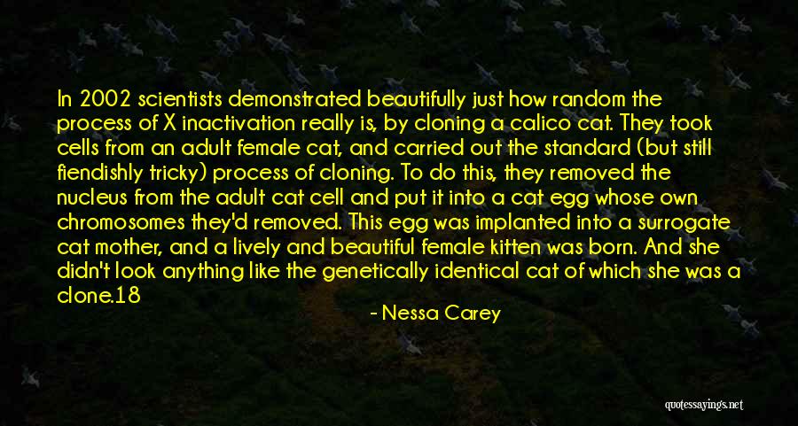 Beautiful Female Quotes By Nessa Carey Beautiful Female Quotes By Nessa Carey