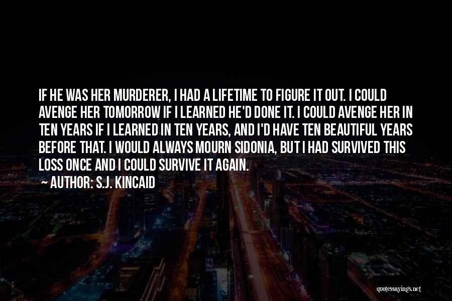 Beautiful Figure Quotes By S.J. Kincaid