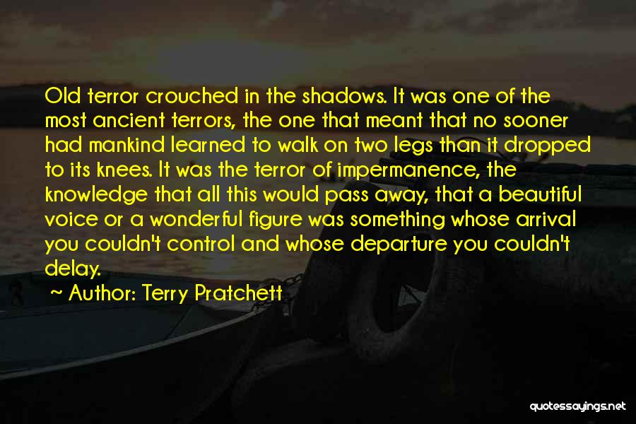 Beautiful Figure Quotes By Terry Pratchett