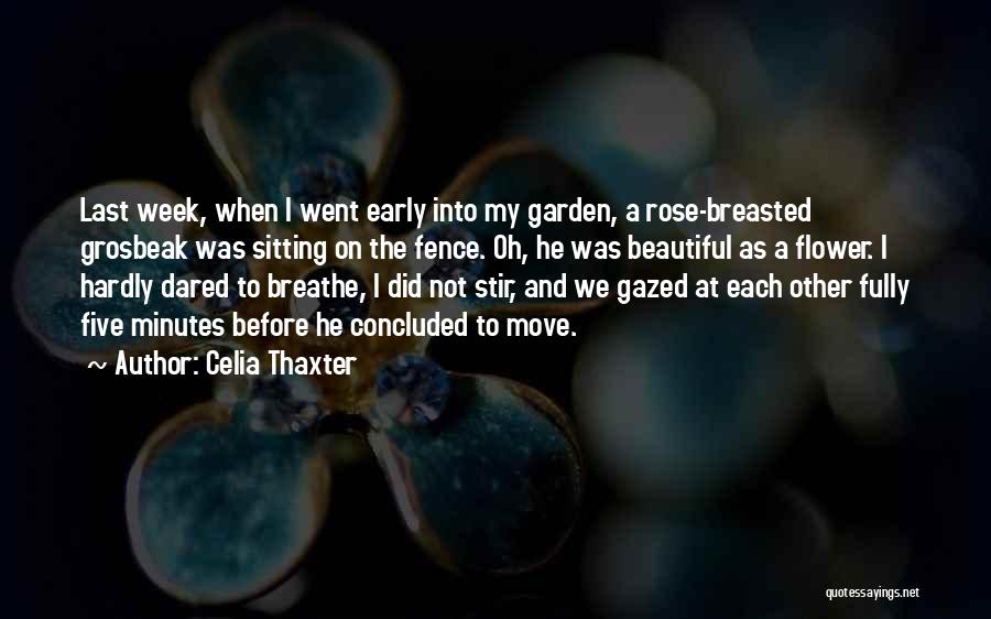 Beautiful Flower Garden Quotes By Celia Thaxter