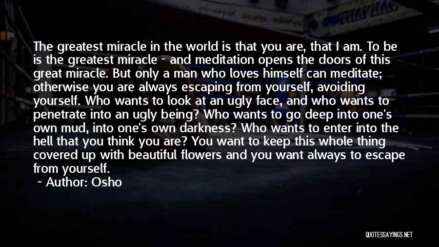 Beautiful Flowers And Quotes By Osho