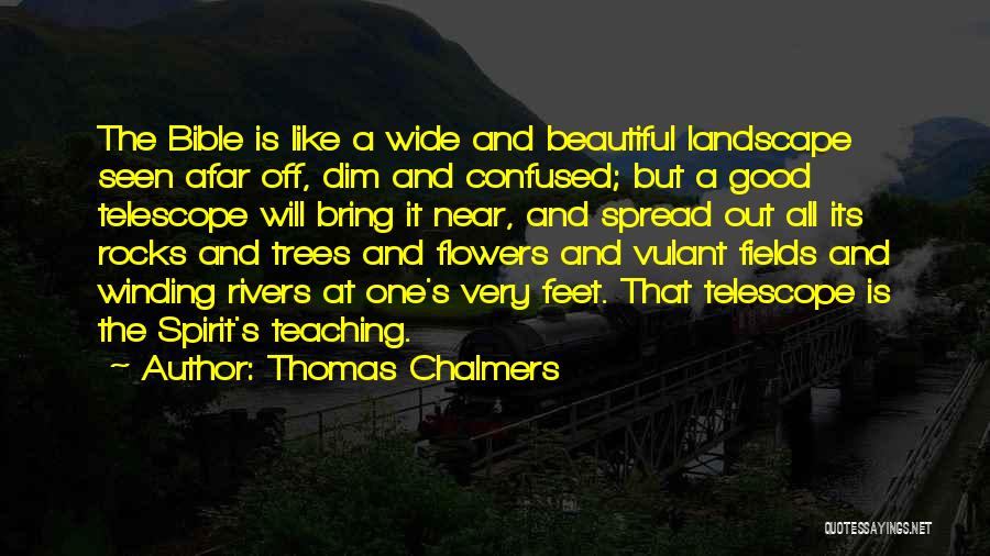 Beautiful Flowers And Quotes By Thomas Chalmers