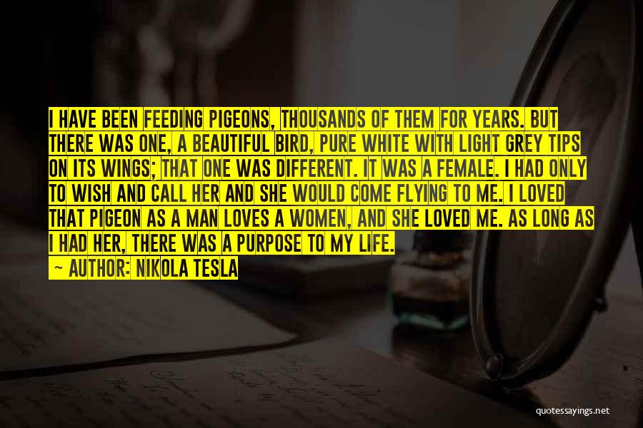 Beautiful For Me Quotes By Nikola Tesla